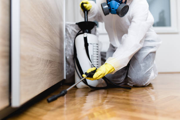 Insect Control in Gillette, NJ