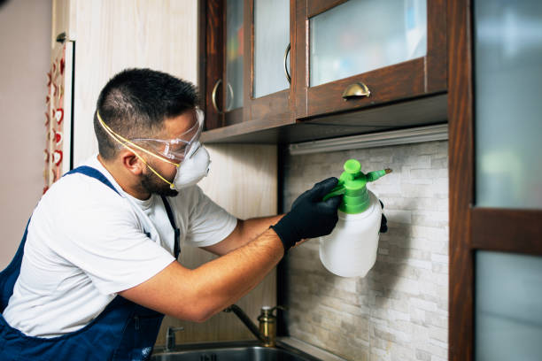 Best Mosquito Control Services  in Gillette, NJ