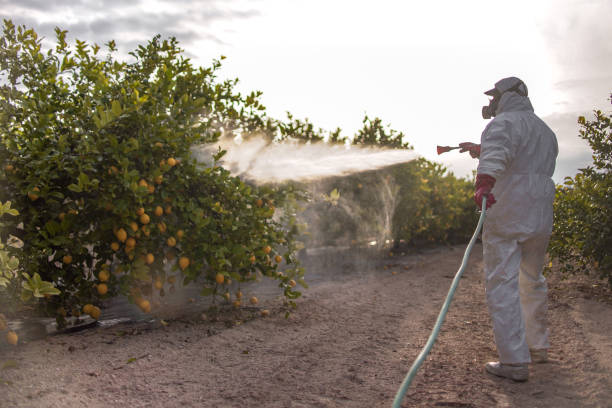 Reliable Gillette, NJ Pest Control Solutions