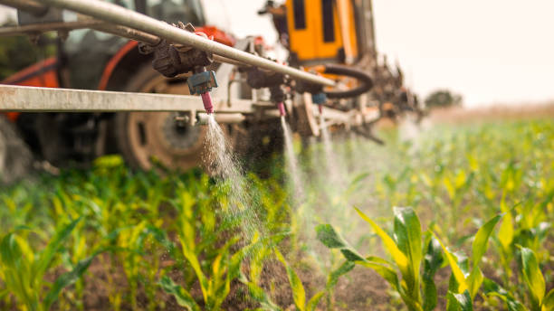 Best Commercial Pest Control Services  in Gillette, NJ